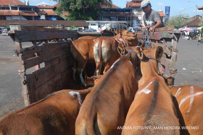 Cek Harga Kambing dan Sapi Kurban di Dompet Dhuafa Jatim Jelang Idul Adha 2026