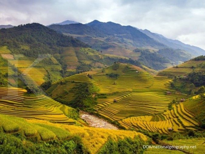 Filipina membatasi sementara impor beras dari Vietnam