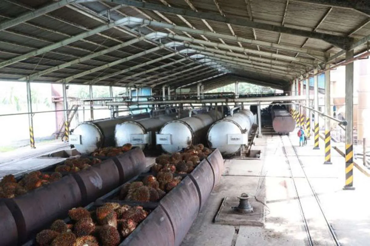 Perkuat kinerja, begini strategi Cisadane Sawit Raya (CSRA) di tahun 2021