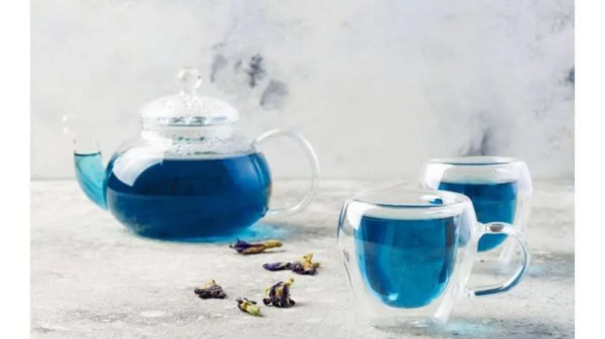 Bikin Awet Muda, Manfaat Teh Biru yang Kaya Antioksidan 
