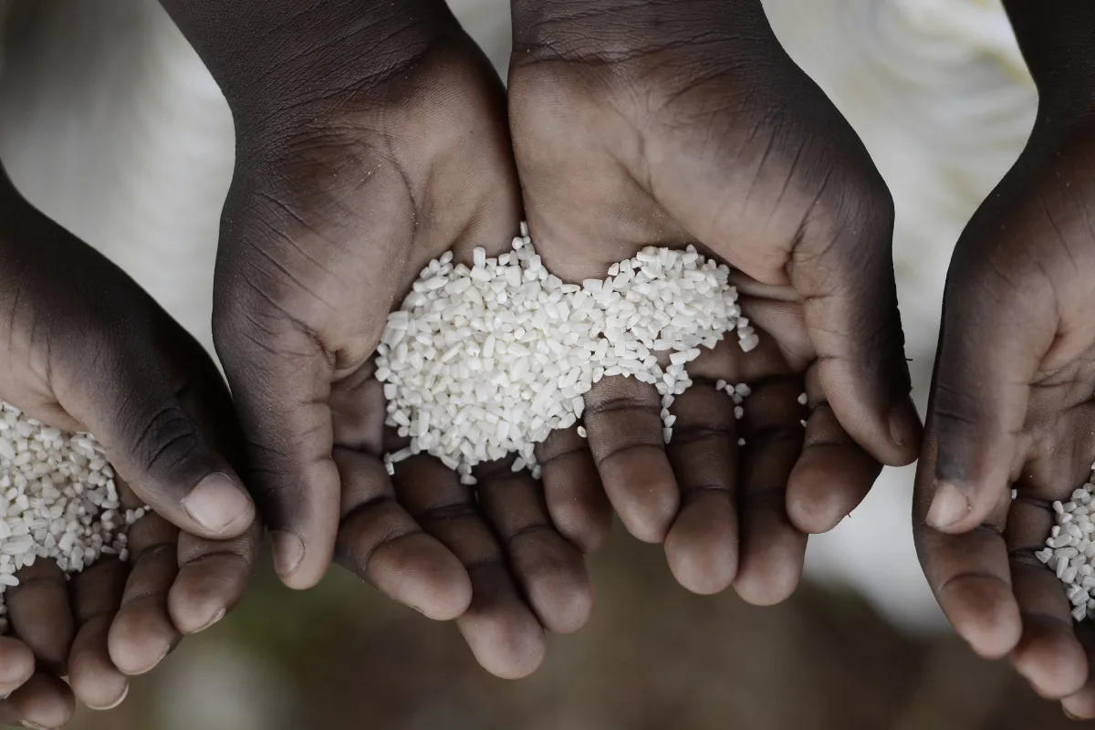 Kerawanan Pangan Jadi Perhatian Khusus G20, Beragam Inisiatif Kebijakan Disiapkan