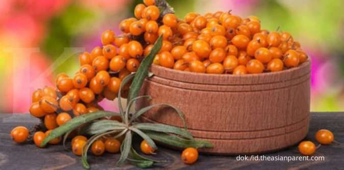 Kulit Terasa Lembab, Inilah 5 Manfaat Sea Buckthorn untuk Wajah