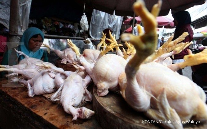 Mendag: Kenaikan harga ayam karena kurangnya pasokan