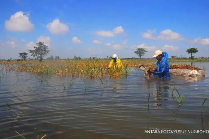 Jawa Tengah Waspada Bencana, Ini Peringatan Dini Cuaca Besok (2/3) Hujan Lebat