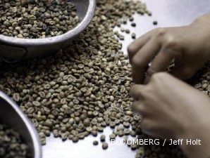  Harga kopi menguat membuat nilai ekspor kopi di kuartal I 2011 menanjak