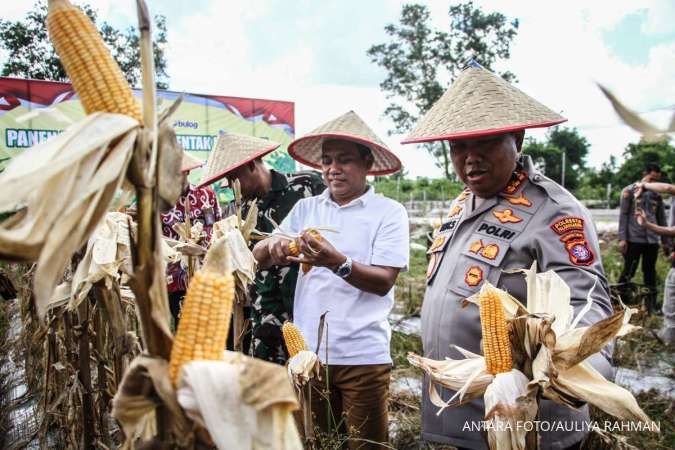 Polri Targetkan Penanaman Jagung di 1,75 Juta Hektare Lahan pada Semester II-2025