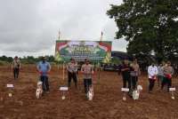 Kolaborasi dengan Polri, PalmCo Optimalkan Lahan Replanting Sawit untuk Tanam Jagung