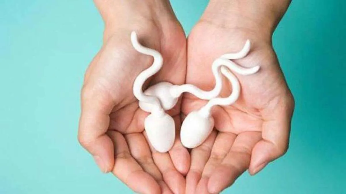 Tanpa Konsumi Obat Kimia! 5 Cara Alami Meningkatkan Kesuburan Laki-Laki 