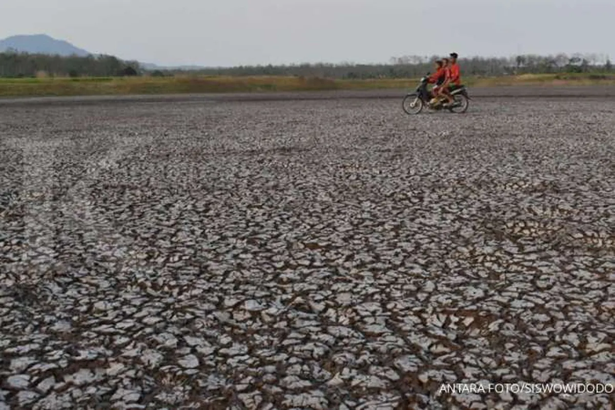 BMKG prediksi tak ada kemarau panjang pada 2020