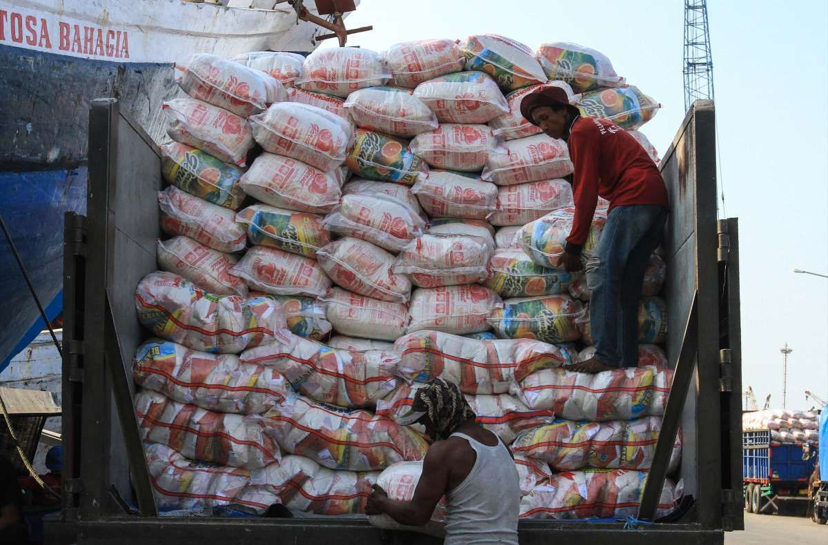 Produksi beras tahun ini diperkirakan capai 31,63 juta ton