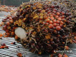 Harga CPO Bersertifikat Lebih Mahal 5%