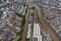 Naturalisasi di Kota Buatan Manusia