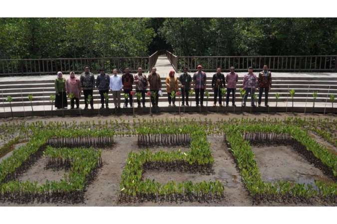 Bersama Pemerintah dan Swasta, PTBA Dukung Rehabilitasi Mangrove