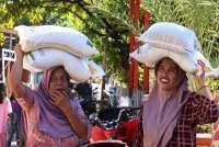 Pemerintah Pangkas Bantuan Pangan Beras Jadi Hanya 2 Bulan Saja