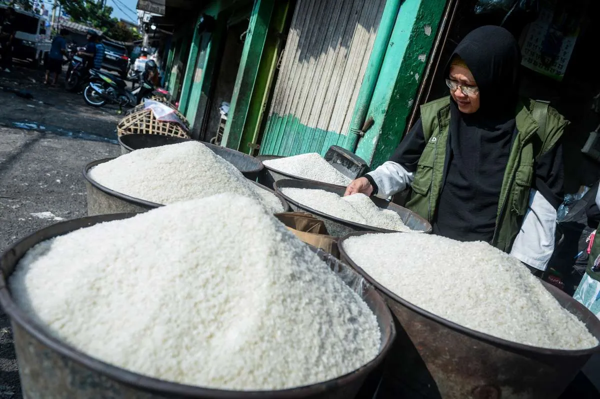 Warga Papua dan Maluku Bayar Beras Paling Mahal, Bapanas Beberkan Penyebabnya
