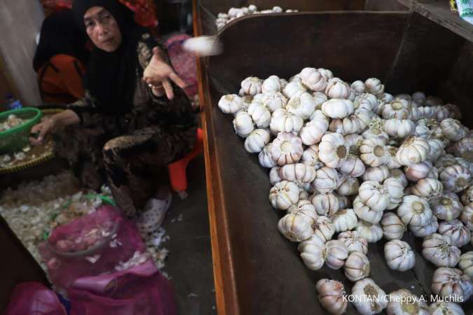 Realisasi Impor Bawang Putih Capai 163.082 Ton Hingga Awal Juni 2025