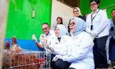 Menteri PPPA dan Kepala BPS Apresiasi Pemberdayaan PNM untuk Usaha Ekonomi Sirkular
