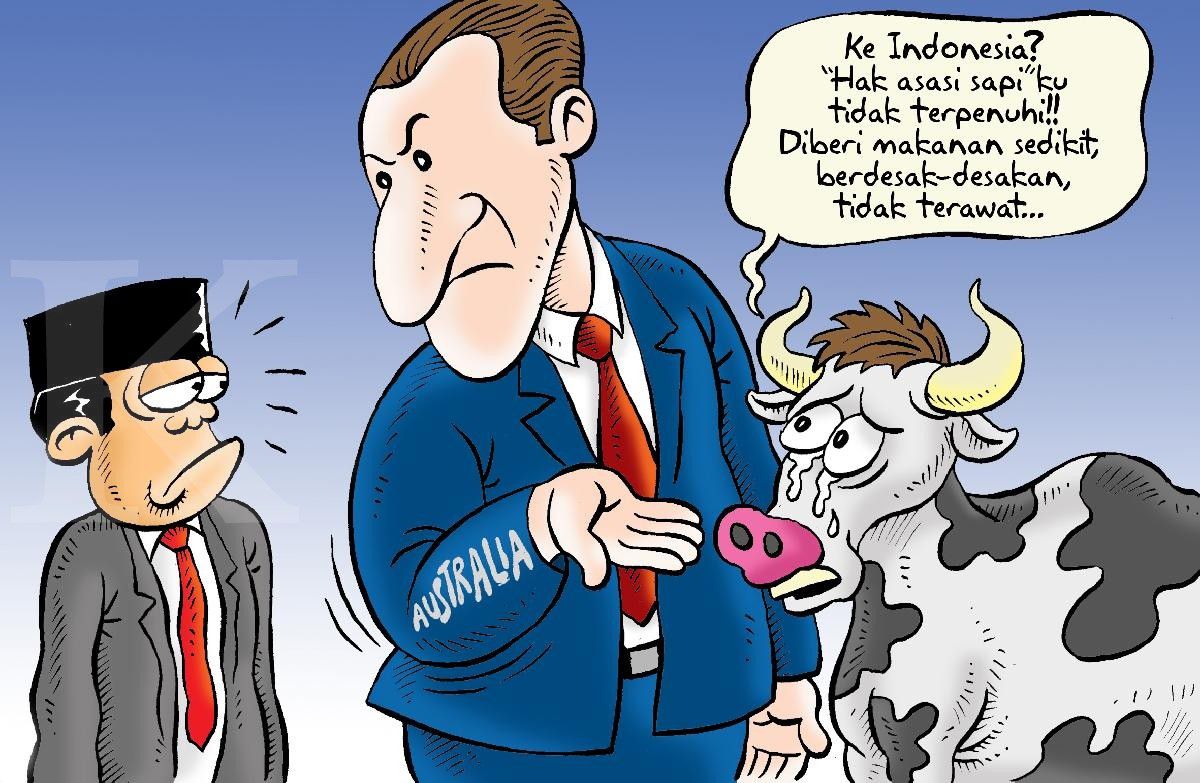 Hak Asasi Sapi Jadi Ancaman Dagangan