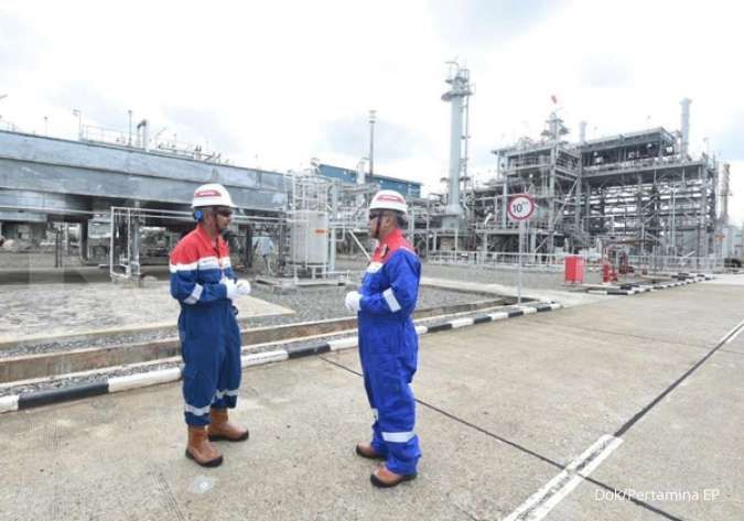 Pertamina EP: Donggi Matindok Field sumbang 10% dari total produksi gas Pertamina