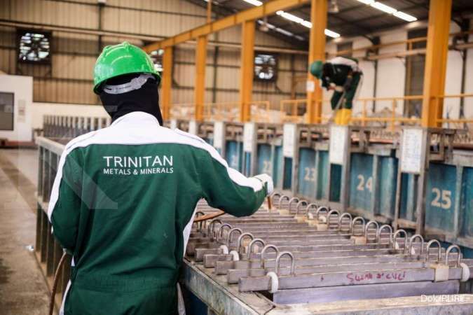 Trinitan Metals & Minerals (PURE) welcomes Tesla's investment discourse in Indonesia