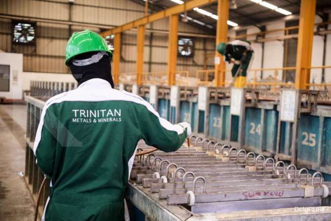 Trinitan Metals And Minerals (PURE) Terancam Delisting dari Bursa