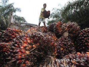 CPO tergerus setelah The Fed beri sinyal pelemahan ekonomi AS