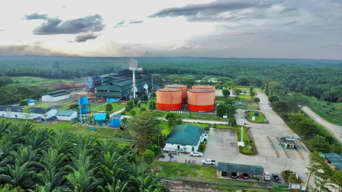 Solid di Kuartal III-2025, BWPT Lanjutkan Transformasi Berbasis ESG