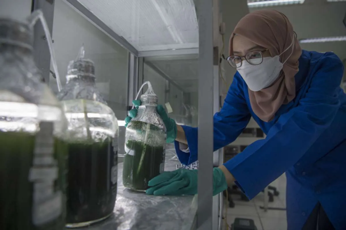 9 Universitas yang punya jurusan MIPA terbaik di Indonesia versi THE WUR 2022