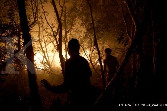 Sembilan korporasi tersangka kebakaran hutan