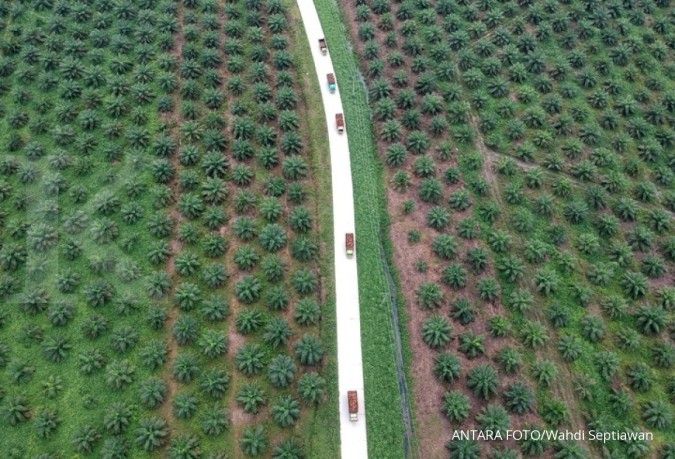 Indonesia certifies a record amount of palm plantations as sustainable