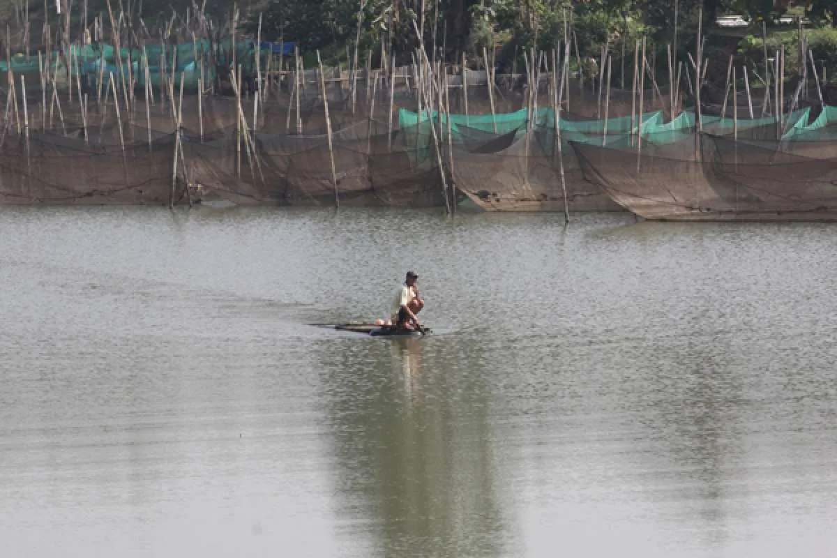 Sepi transaksi, ini saham-saham pilihan sektor perikanan