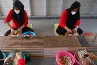 Pencairan Tembus Rp 190 T, Ini Cara Ajukan KUR SMBC Bank per September 2025