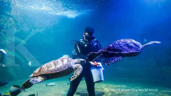 Sea World Ancol 