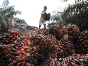 CPO dan Kedelai sama-sama meroket