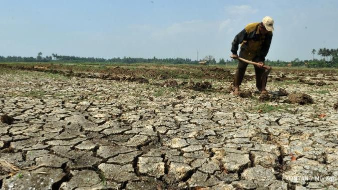 Antisipasi kekeringan, pemerintah bangun 11 waduk