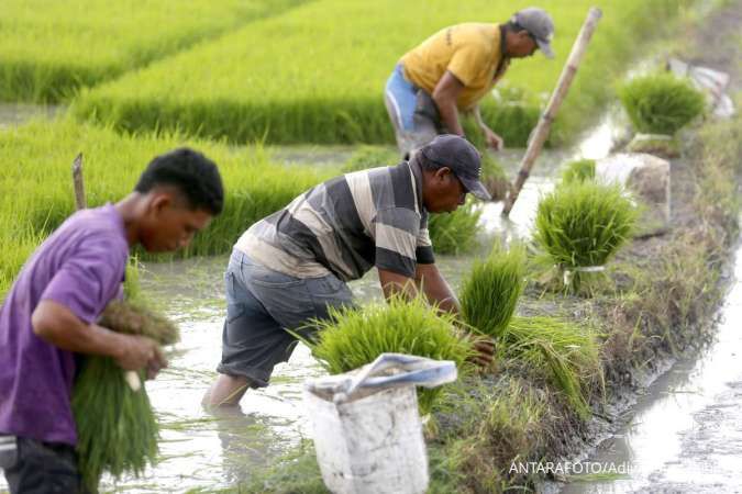 Apindo Beberkan 4 Strategi Jaga Laju Pertumbuhan Ekonomi hingga 2029