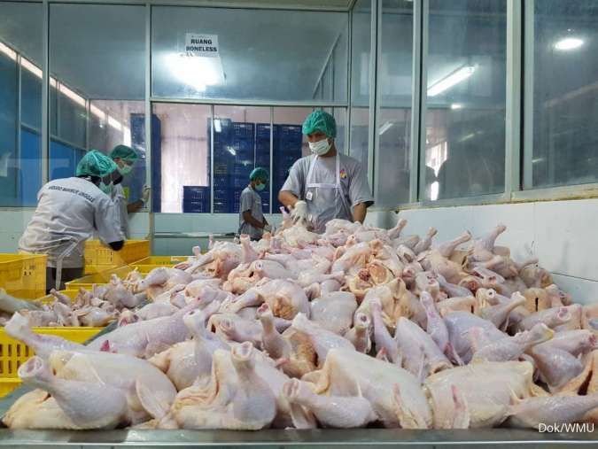 Indonesia Bakal Ekspor Ayam ke Singapura, Widodo Makmur Unggas Turut Berpartisipasi