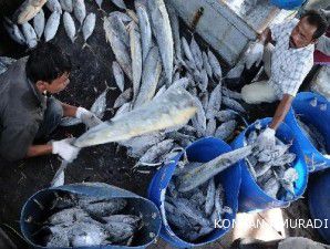 Bangun jaringan distribusi, KKP siapkan sistem logistik ikan nasional
