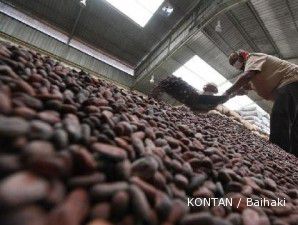 Produksi dan kualitas kakao Indonesia terus melorot