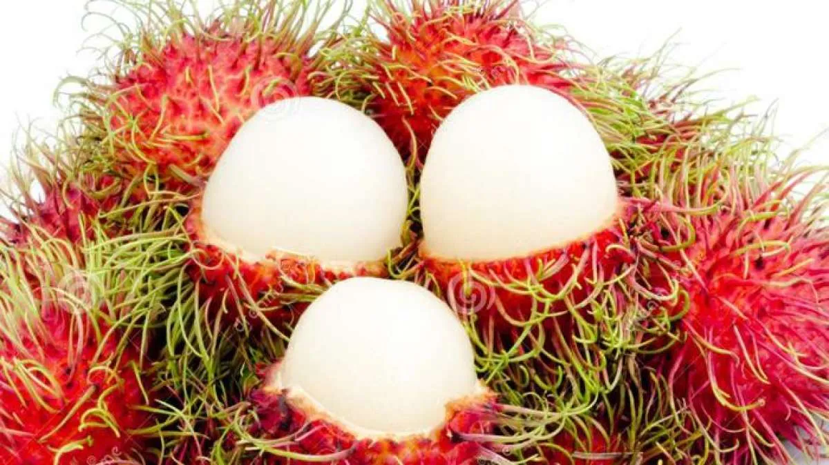 Dapat Obati Sembelit, Cek Ragam Manfaat Rambutan untuk Tubuh