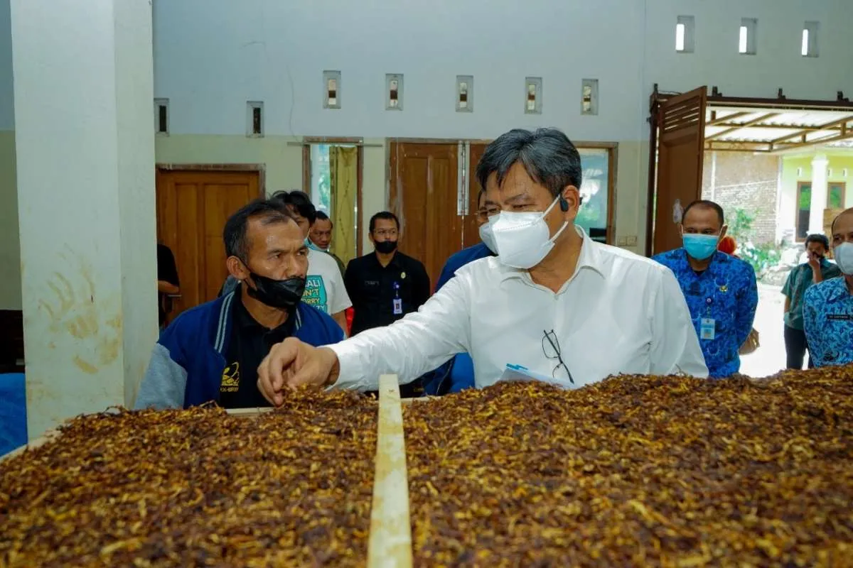 Laba Gudang Garam (GGRM) Turun 77,7%, Simak Rekomendasi Sahamnya