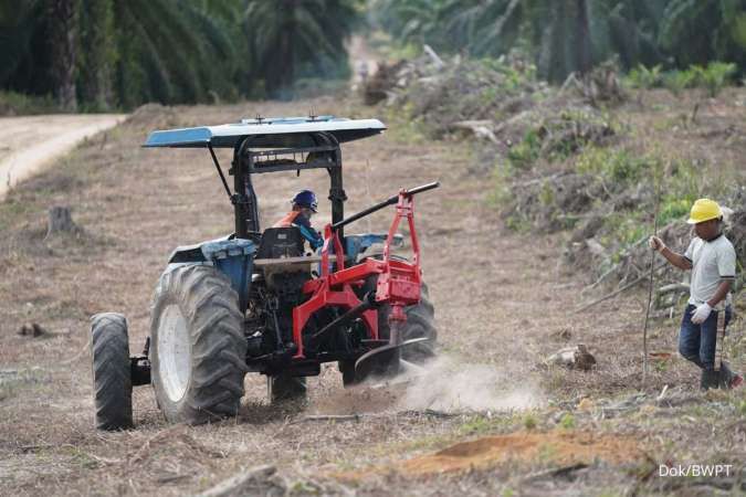 Eagle High Plantations (BWPT) Targetkan Pertumbuhan Kinerja Double Digit Pada 2026