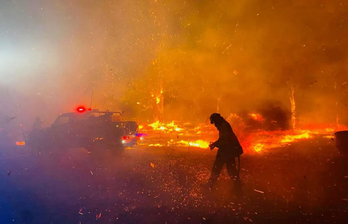 Kebakaran Hutan di Australia Menghanguskan Ribuan Rumah Warga 