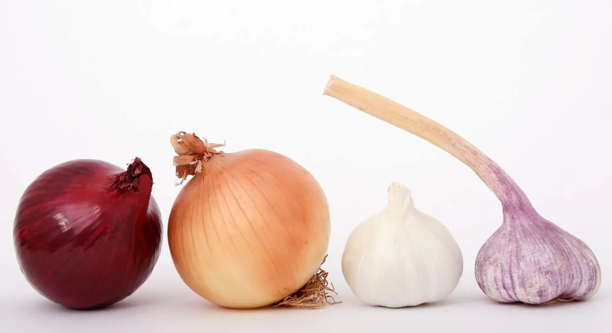Segudang Khasiat Dimiliki Kulit Bawang, Begini Cara Olahnya