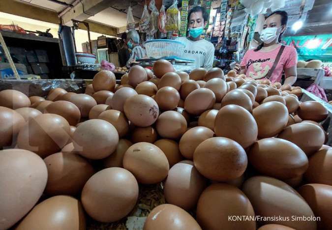Siap-siap! Bansos Telur dan Ayam akan Disalurkan Minggu Ketiga April