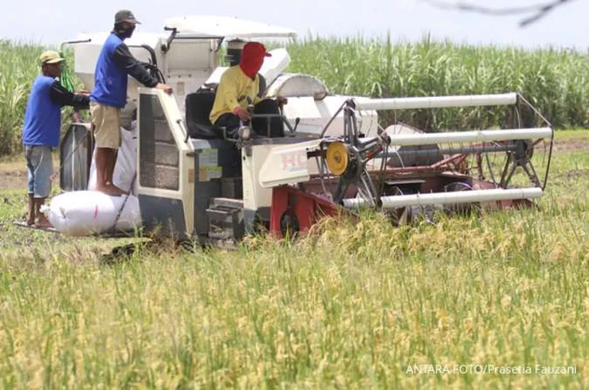 DPR Minta Kementan Genjot Produksi Pangan