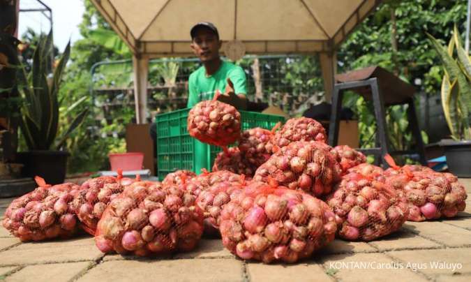 Tak Semua Daerah Bisa Menutupi Anggaran Pangan