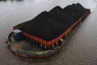 APBI Dorong Anggota Penuhi DMO Batubara