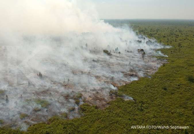 Lahan di sekitar objek wisata pantai di Bangka terbakar