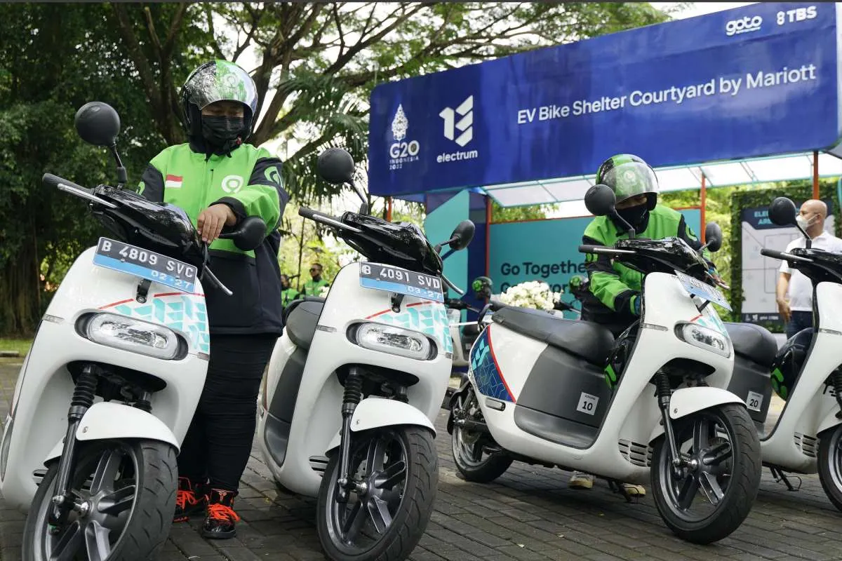 Ini Capex yang Disiapkan TOBA untuk Proyek EBT dan Kendaraan Listrik Tahun Depan
